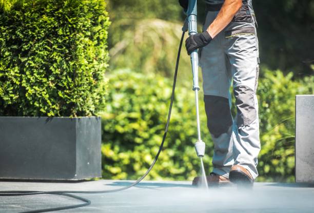 Best Roof Washing  in Loudonville, OH